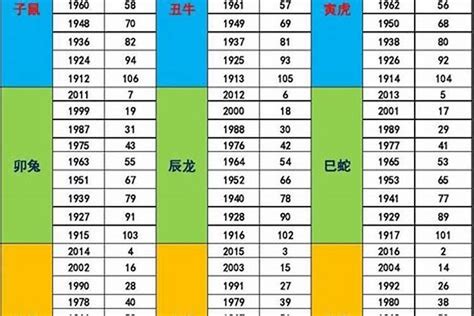 1989 年五行属什么